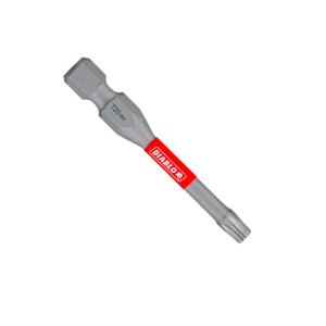 2" #20 Torx Drive Bits (5-Pack)